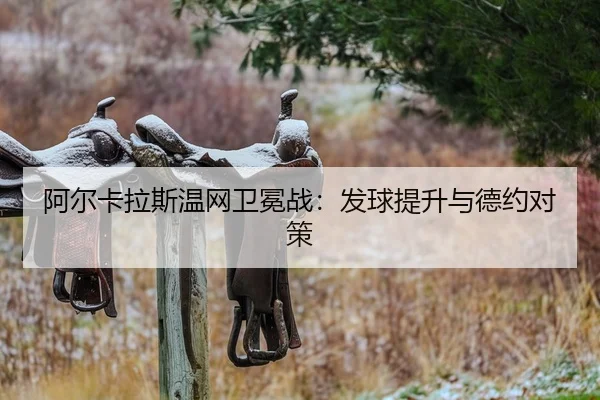a-er-ka-la-si-wen-wang-wei-mian-zhan-fa-qiu-ti-sheng-yu-de-yue-dui-ce-2-224.jpg