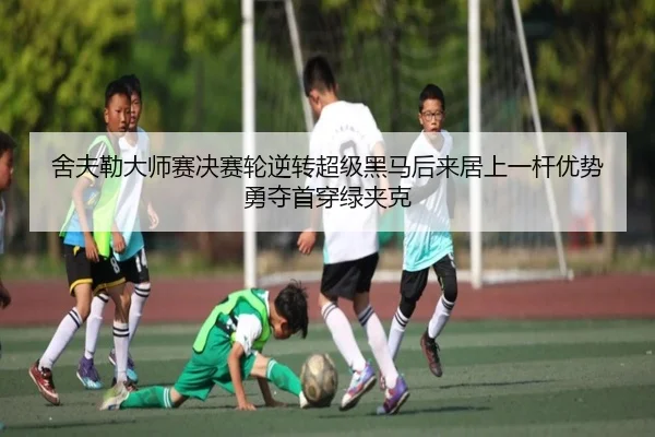 she-fu-lei-da-shi-sai-jue-sai-lun-ni-zhuan-chao-ji-hei-ma-hou-lai-ju-shang-yi-gan-you-shi-yong-duo-shou-chuan-lv-jia-ke-2-630.jpg