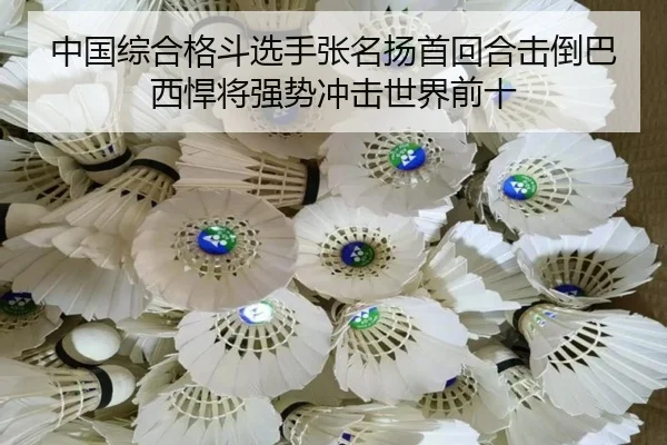 中国综合格斗选手张名扬首回合击倒巴西悍将强势冲击世界前十