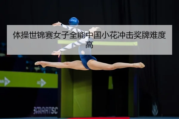 ti-cao-shi-jin-sai-nv-zi-quan-neng-zhong-guo-xiao-hua-chong-ji-jiang-pai-nan-du-gao-3-903.jpg