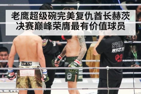 老鹰超级碗完美复仇酋长赫茨决赛巅峰荣膺最有价值球员
